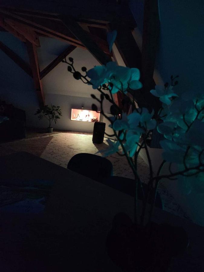 Nid De Cigogne Apartment Illhaeusern Luaran gambar